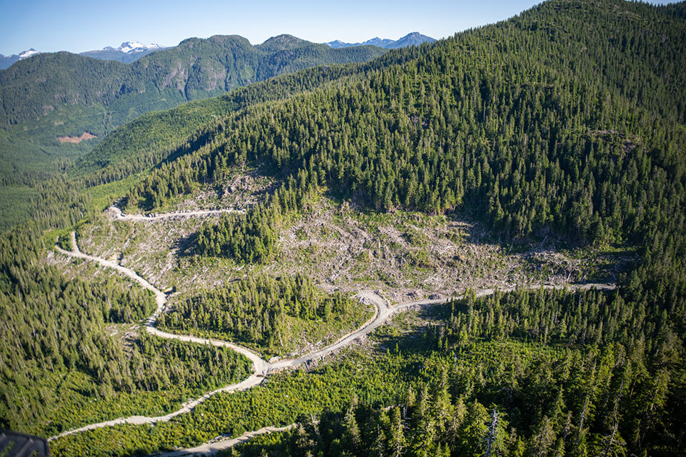 Aerial Logging and Roads Josh-Neufeld