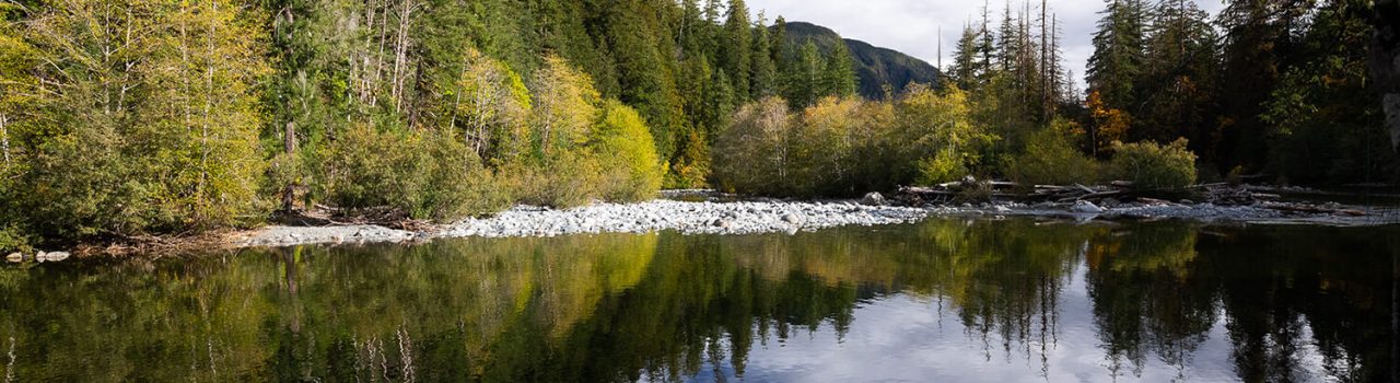 Salmon Parks MMFN Oct 2023 TJ-Watt